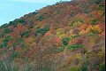 Fallcolor09