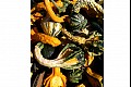 Fallcolor16