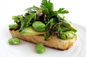 A Fava Bean Fav