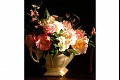Flower3