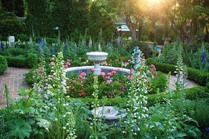 Foxgloves and Delphiniums