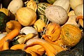 Harvest g