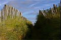 Ireland011