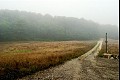 Marthasvineyard03