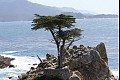 Monterey 1