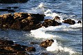 Monterey 4