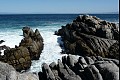 Monterey 7