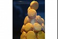 Nov_in_paris12
