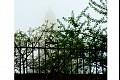 Ny04