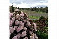 Orbloom13