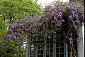 Orbloom19