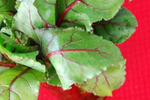 Creamy Goat Cheese and Beet Green Pasta