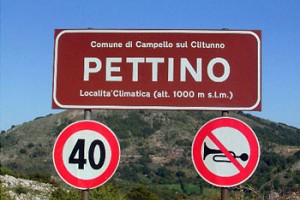 Pettino