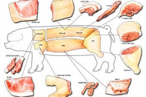 A Life in Pork