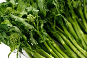 My Favorite Rapini Recipe