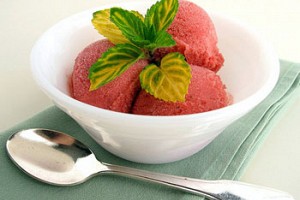 Rhubarb Sorbet