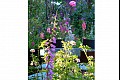 Summerflowers03
