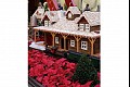 Vegasxmas04