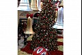 Vegasxmas05