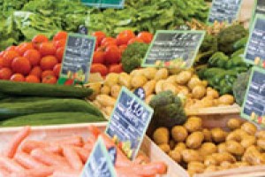 Sustainable Local Organic
