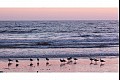 Venice07