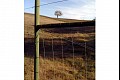 Vineyardwalk03