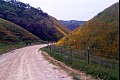 Vineyardwalk06
