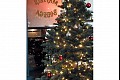 Winexmas10