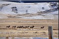 Wyoming07