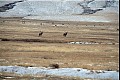 Wyoming10