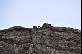 Wyoming12