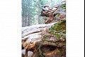 Yosemite03